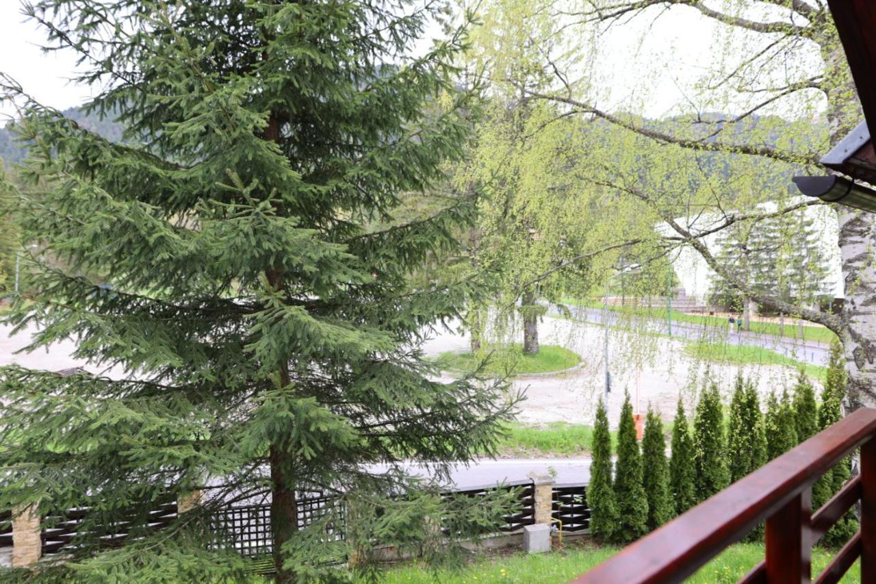 Vila Pinul Si Mesteacanul Poiana Brasov Exterior foto
