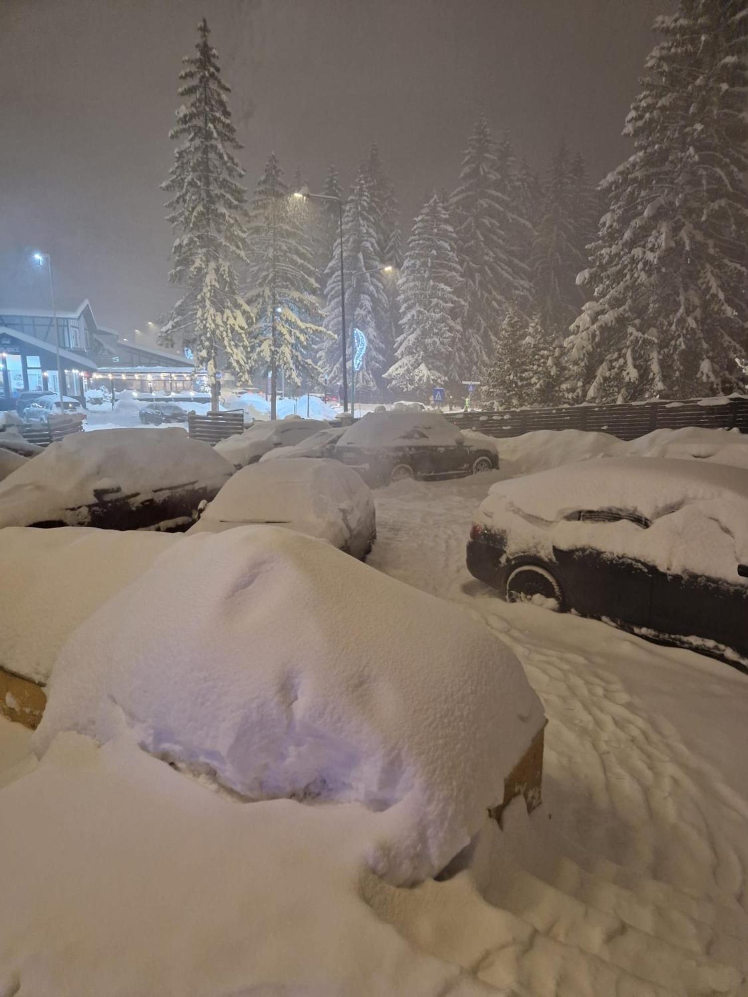 Vila Pinul Si Mesteacanul Poiana Brasov Exterior foto