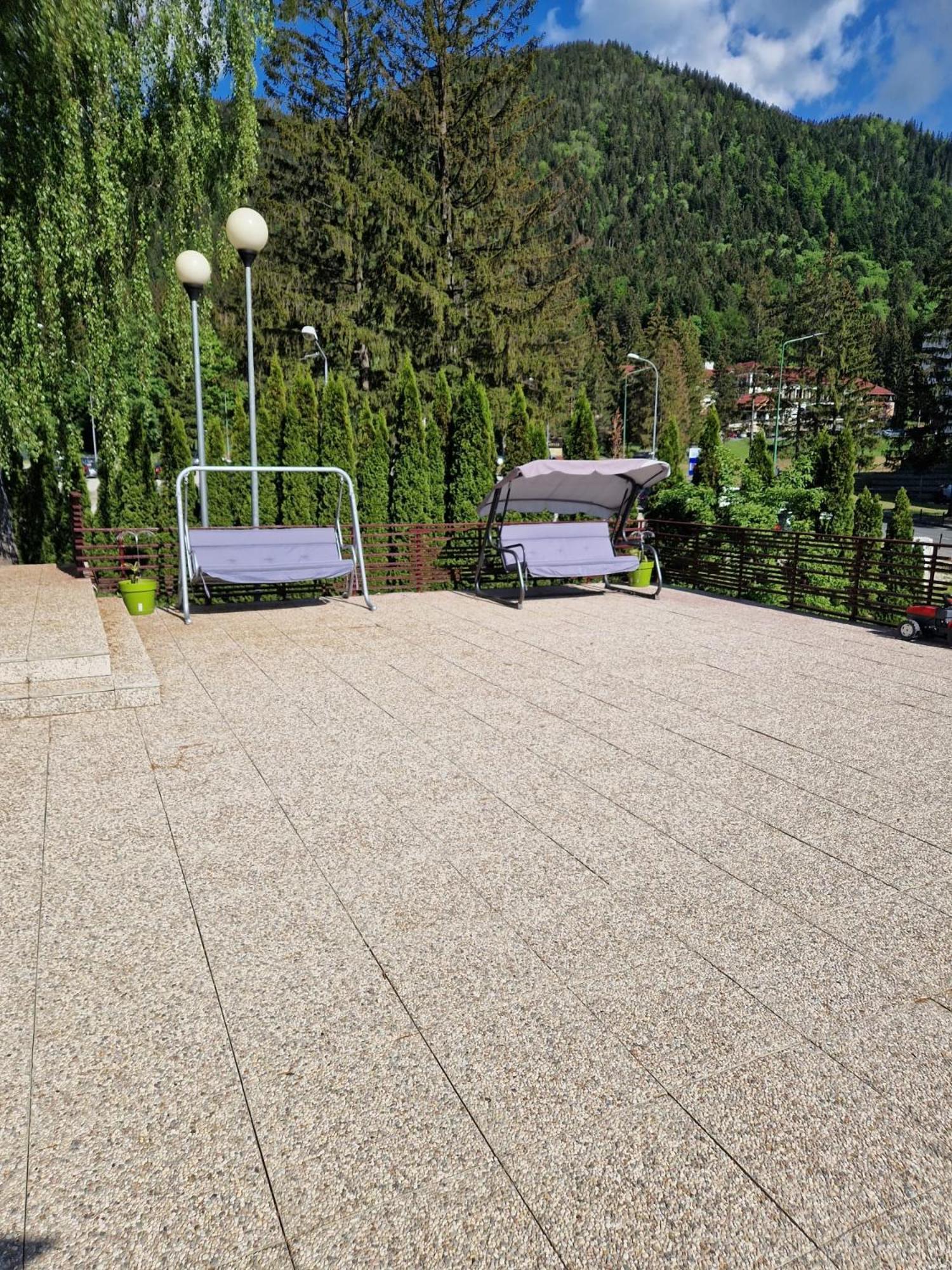 Vila Pinul Si Mesteacanul Poiana Brasov Exterior foto
